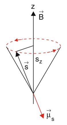 A Precession of the two Quantum Vectors '"`UNIQ--postMath-00000001-QINU`"' and '"`UNIQ--postMath-00000002-QINU`"' around the magnetic field '"`UNIQ--postMath-00000003-QINU`"'.